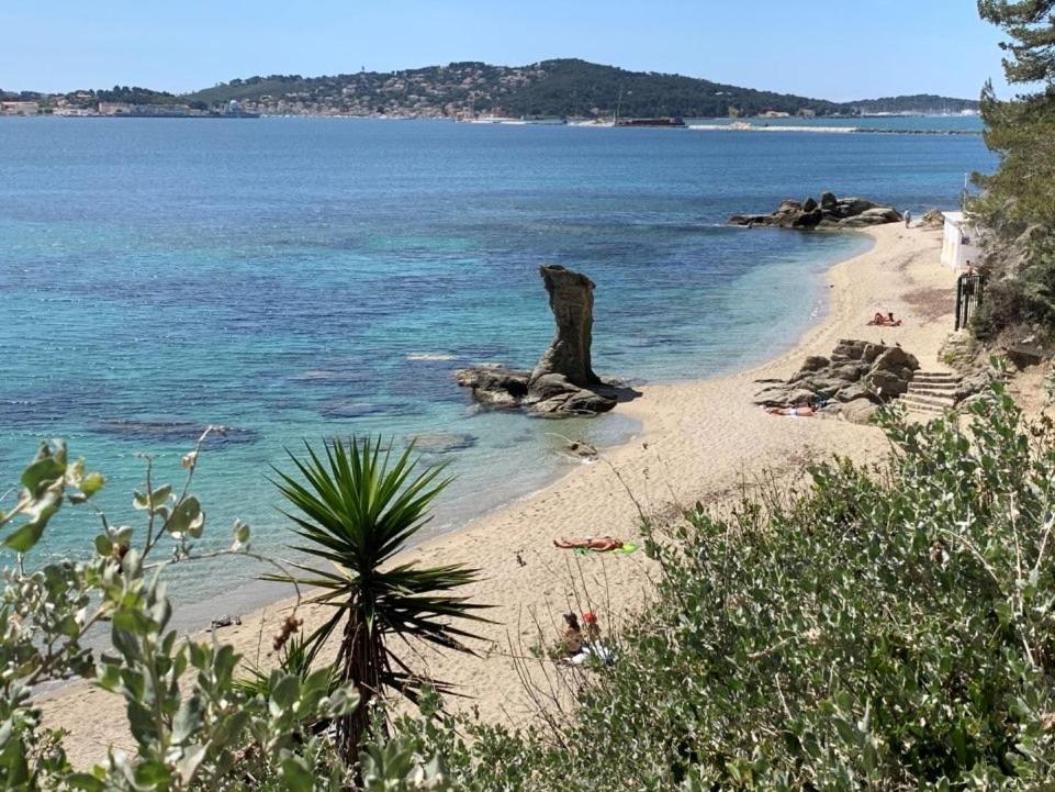 Superbe Appartement Proche Gare Toulon Dış mekan fotoğraf